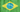 GingerTS Brasil